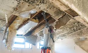 Best Real Estate Mold Inspection  in Southgate, MI